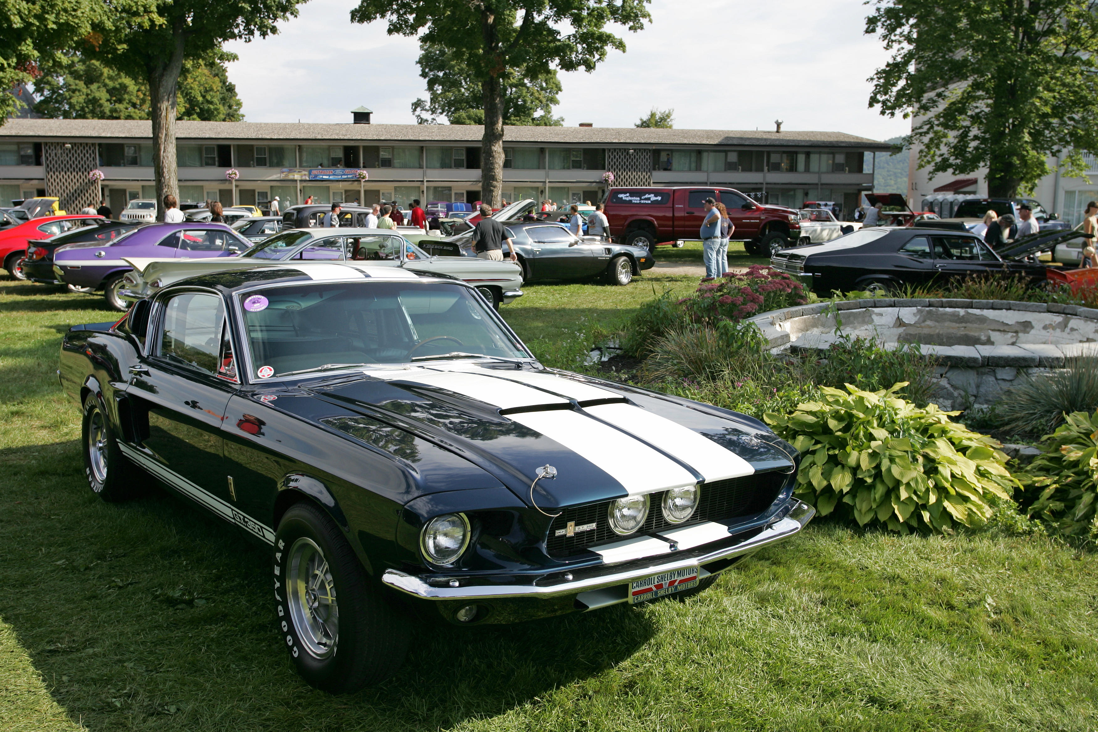 1967 Shelby GT500 Mustang